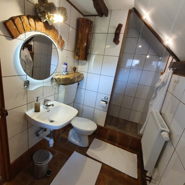 Bathroom / WC, Domus Antiqua Rural holiday house, Rural holiday house Domus Antiqua Gornja Voća