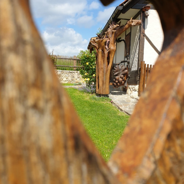 Domus Antiqua Rural holiday house, Rural holiday house Domus Antiqua Gornja Voća