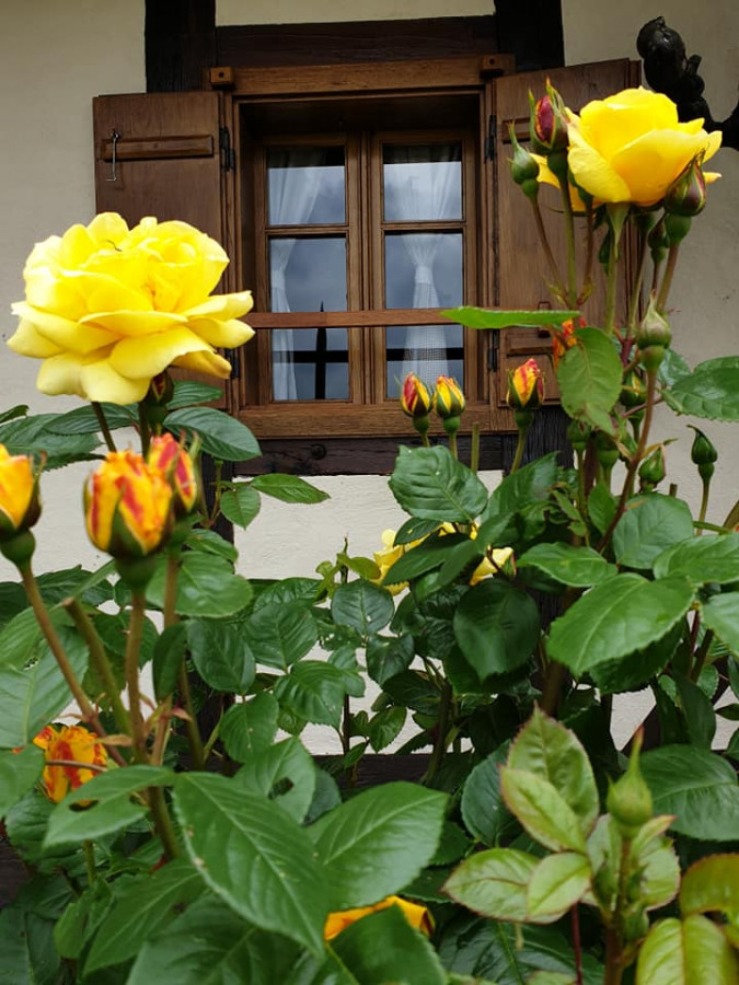 Rural holiday house Domus Antiqua Gornja Voća