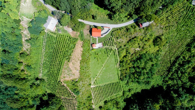 Rural holiday house Domus Antiqua Gornja Voća